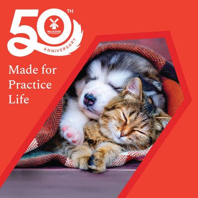 50th blog web banner